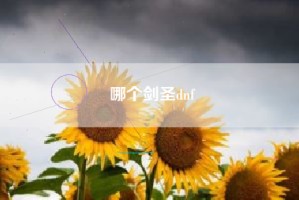 哪个剑圣dnf