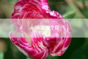 dnf深圳哪个区