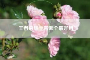 王者荣耀手雷哪个最好用