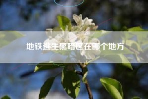 地铁逃生黑暗区在哪个地方
