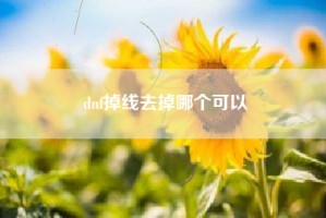 dnf掉线去掉哪个可以