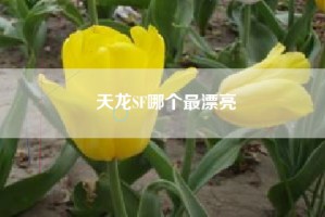 天龙SF哪个最漂亮