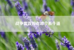 战争雷霆坦克哪个系牛逼