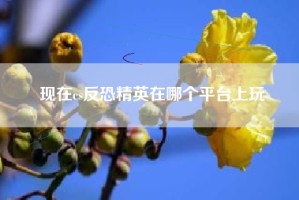 现在cs反恐精英在哪个平台上玩