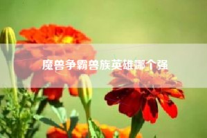 魔兽争霸兽族英雄哪个强