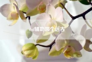 dnf辅助哪个远古