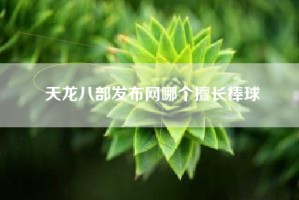 天龙八部发布网哪个擅长棒球