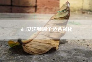 dnf女法师哪个适合强化