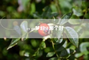 cs go梦幻SF哪个好