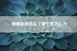 弹弹堂网游忘了哪个区怎么办