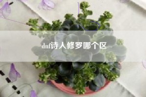 dnf诗人修罗哪个区