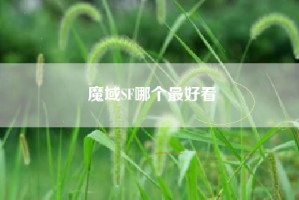 魔域SF哪个最好看