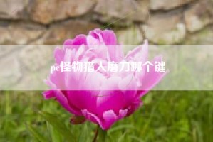 pc怪物猎人磨刀哪个键