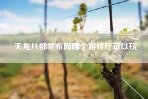 天龙八部发布网哪个游戏厅可以玩