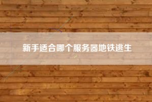 新手适合哪个服务器地铁逃生