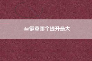 dnf徽章哪个提升最大