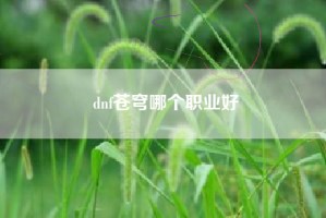 dnf苍穹哪个职业好