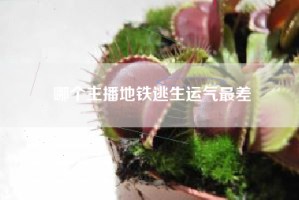 哪个主播地铁逃生运气最差