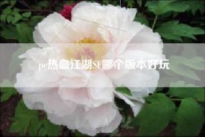pc热血江湖SF哪个版本好玩