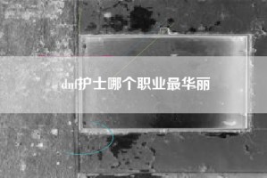dnf护士哪个职业最华丽