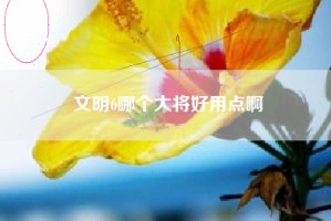 文明6哪个大将好用点啊