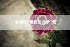 怪物猎人远程武器哪个好