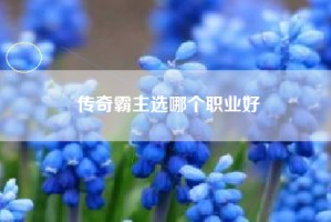 传奇霸主选哪个职业好