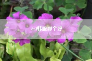 dnf韩服哪个好