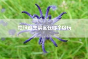 地铁逃生禁区在哪个区玩