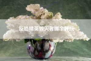 反恐精英毁灭者哪个好玩