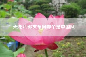 天龙八部发布网哪个是中国队