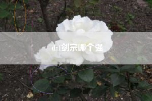 dnf剑宗哪个强