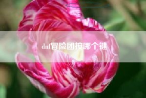 dnf冒险团按哪个键