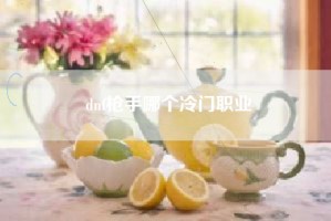 dnf枪手哪个冷门职业