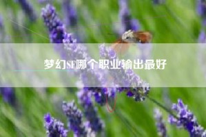 梦幻SF哪个职业输出最好