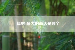 辐射4最大的商店是哪个