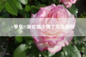 拳皇97屠蛇版中哪个英雄最赖