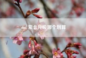dnf 紫卡升级哪个划算