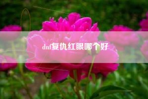dnf复仇红眼哪个好