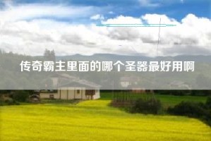传奇霸主里面的哪个圣器最好用啊