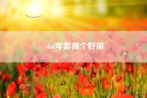 dnf年套哪个好用