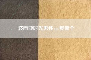 波西亚时光男性npc娶哪个