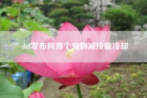 dnf发布网哪个宠物减技能冷却