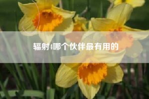 辐射4哪个伙伴最有用的