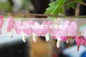dnf发布网哪个头肩最好