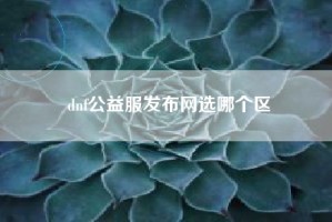 dnf公益服发布网选哪个区
