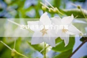 地铁逃生中哪个门最富