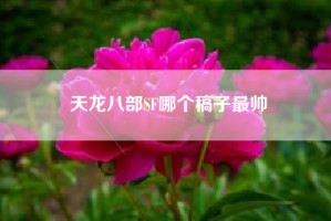 天龙八部SF哪个稿子最帅