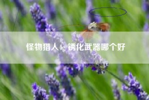 怪物猎人4g 锈化武器哪个好