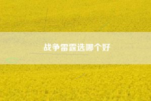 战争雷霆选哪个好
